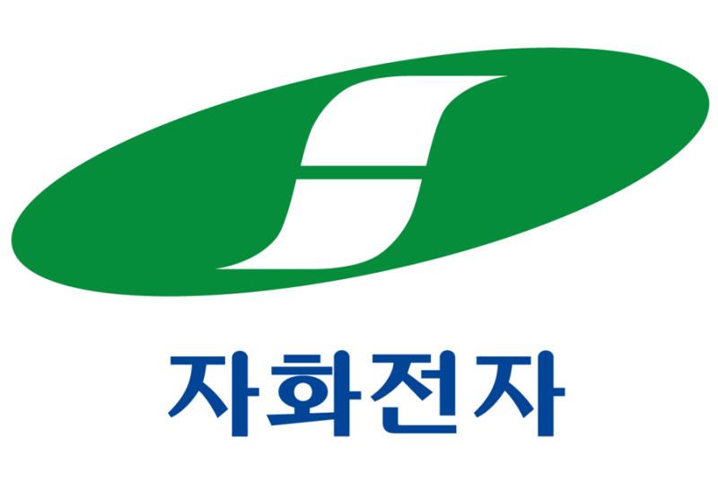 자화전자