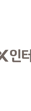 LX인터내셔널